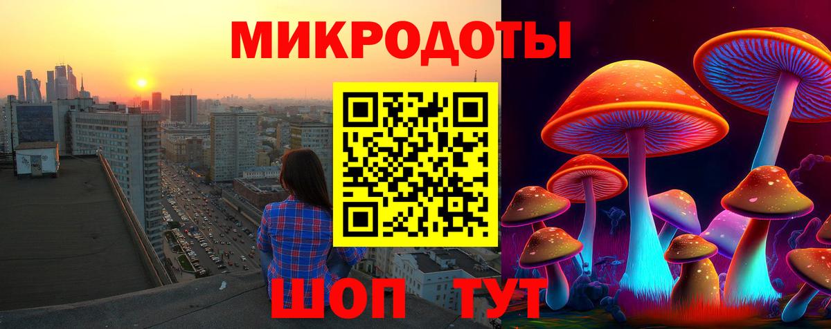 Псилоцибиновые грибы Psilocybe  Вход с VPN  Новотроицк 