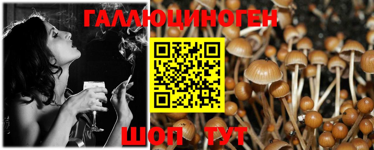 Псилоцибиновые грибы Magic Shrooms Новотроицк